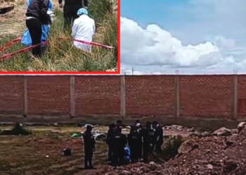 Un pequeño en un terreno baldío.