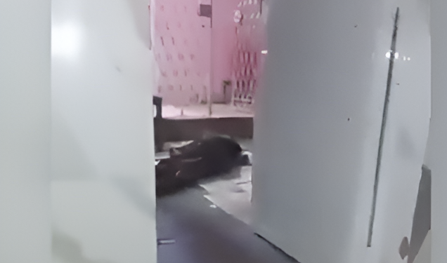 Frente a su propia casa.