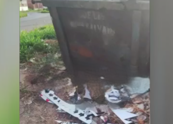 En un contenedor de basura.